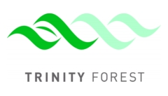 Full Color Trinity Forest Logo