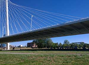 Working under the Margaret Hunt Hill Bridge, the work team from VHA Novation seeded and planted native species such as turkey tangle fog fruit, wine cup, sand love grass, buffalo grass, and other plants tolerant of shade.
