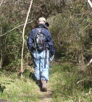 Natural portion of the Texas Buckeye Trail taking hikers through a natural arbor