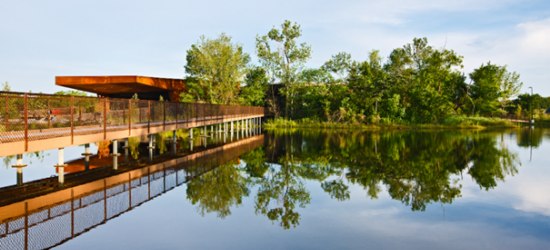 One of the nine emergent wetland ponds at the Trinity River Audubon Center